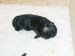 1week_girl