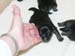 1week_girl2