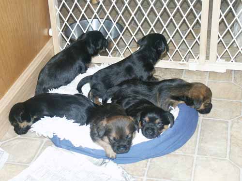 5weeks_waking