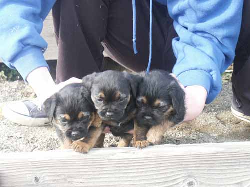 6weeks_blueboys1