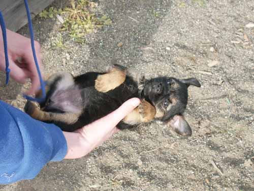 6weeks_relaxedgirl