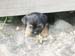 6weeks_girl1