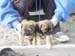6weeks_grizzleboys2