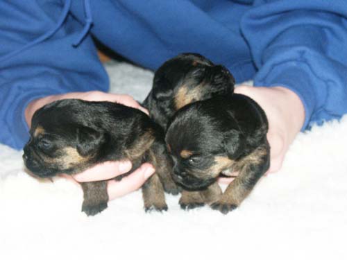 2weeks_3 blueboys