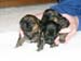 2week_tanboys_blue girl_4