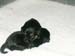 2weeks_2blueboys_1