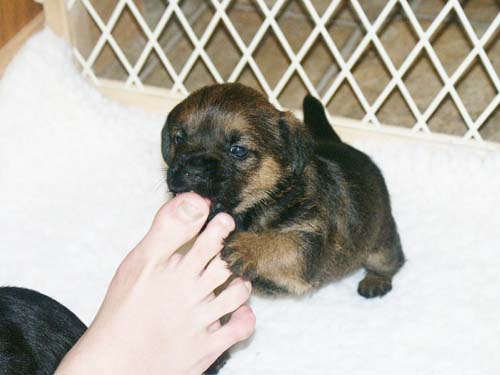 4weeks_toes1