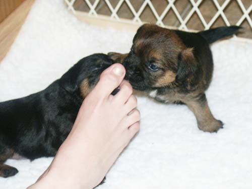 4weeks_toes2