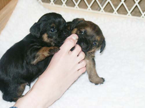 4weeks_toes3