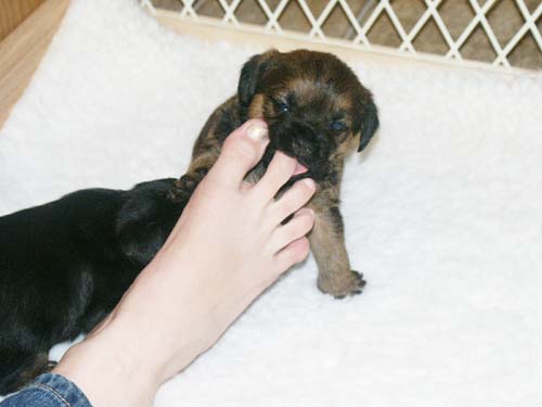 4weeks_toes4