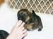 4weeks_toes1