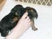 4weeks_toes3