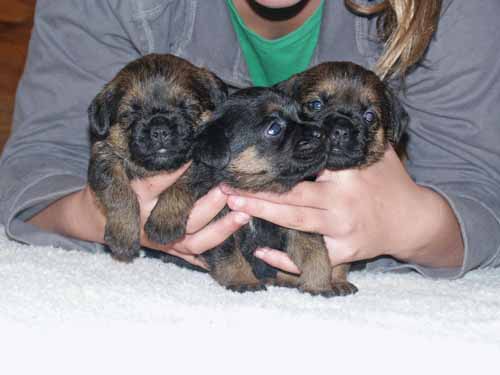 3wk-boys1