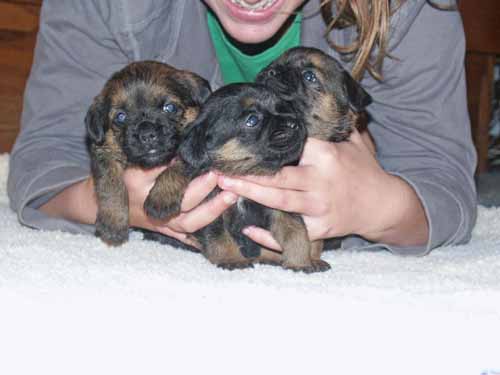 3wk-boys2