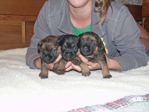 3wk-boys3