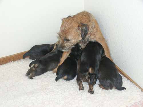 3wk-devoted-mom