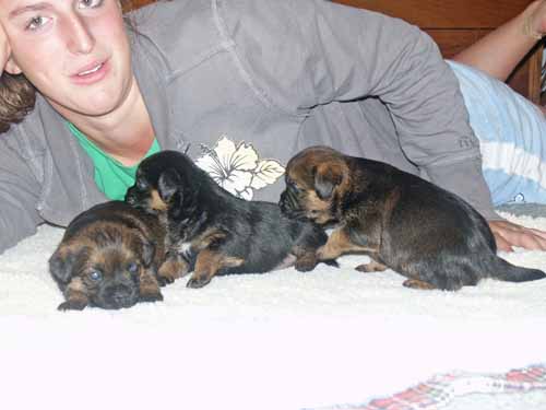 3wk-girls1