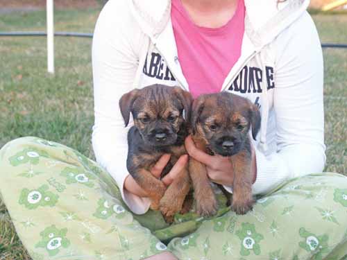 7wks-boys3
