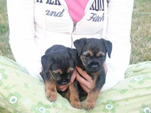 7wks-girl&boy3