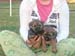 7wks-boys2