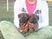 7wks-boys3