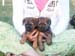 7wks-girls1