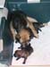 grandma-wicket3