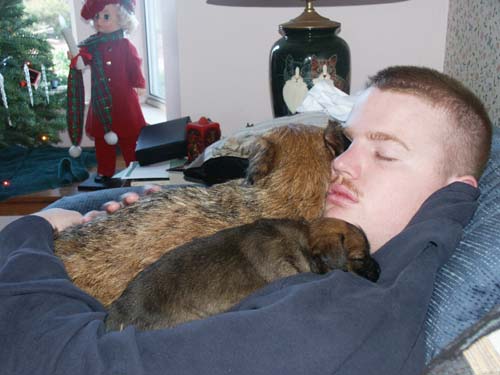 sleepyheads