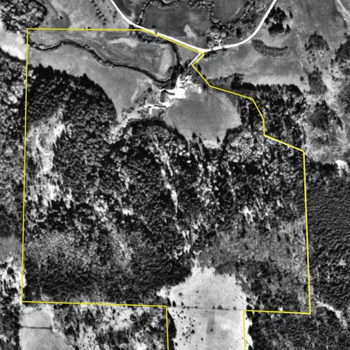 1967 Aerial Photo