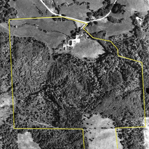 1977 Aerial Photo