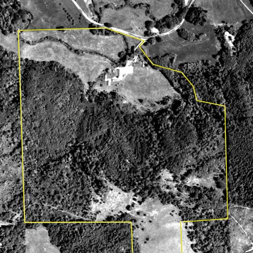 1981 Aerial Photo