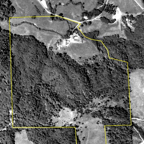 1985 Aerial Photo