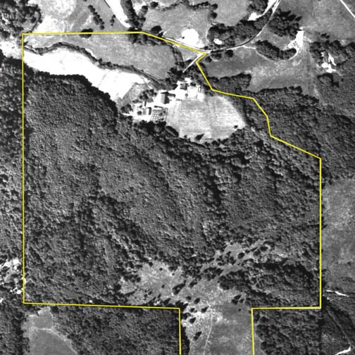 1990 Aerial Photo