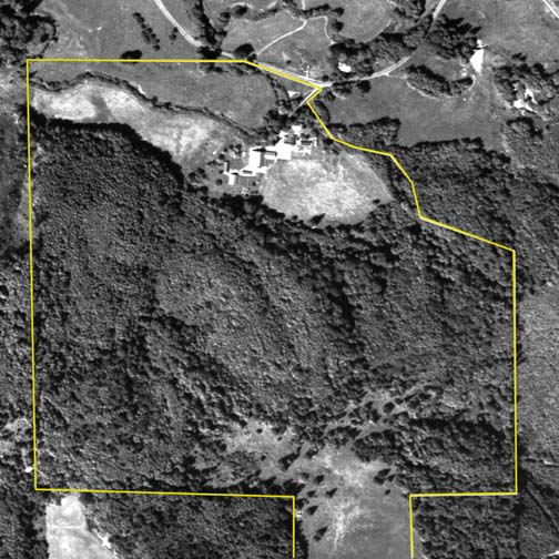 1993 Aerial Photo