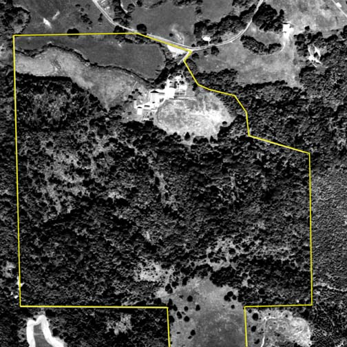 1997 Aerial Photo
