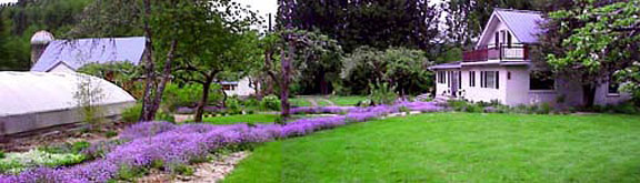 Main House and gardens