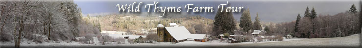 Wild Thyme Farm Tour