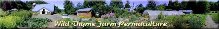 Wild Thyme Farm Permaculture