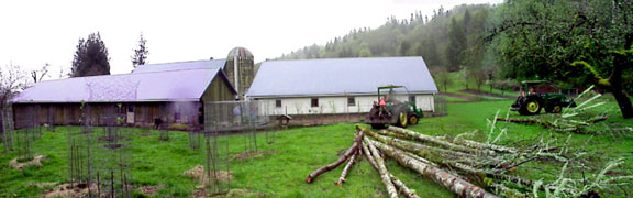 Yarding Logs