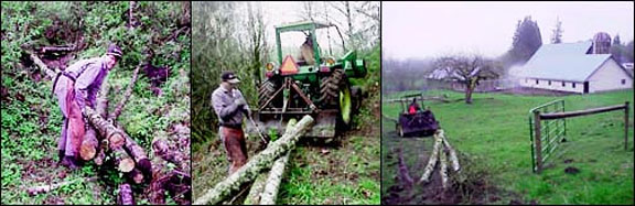 Rafting and dragging logs