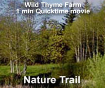 WTF Nature Trail