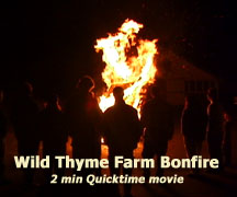 Wild Thyme Bonfire
