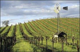 Sonoma County